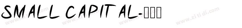 SMALL CAPITAL字体转换